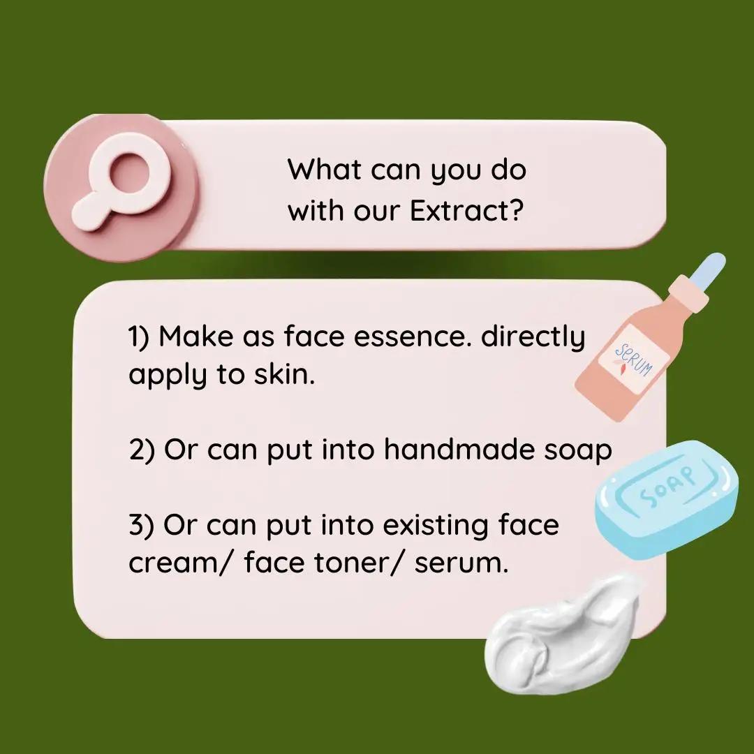 High Quality Soapberry Extract - Hair Care Essence reseña y precio