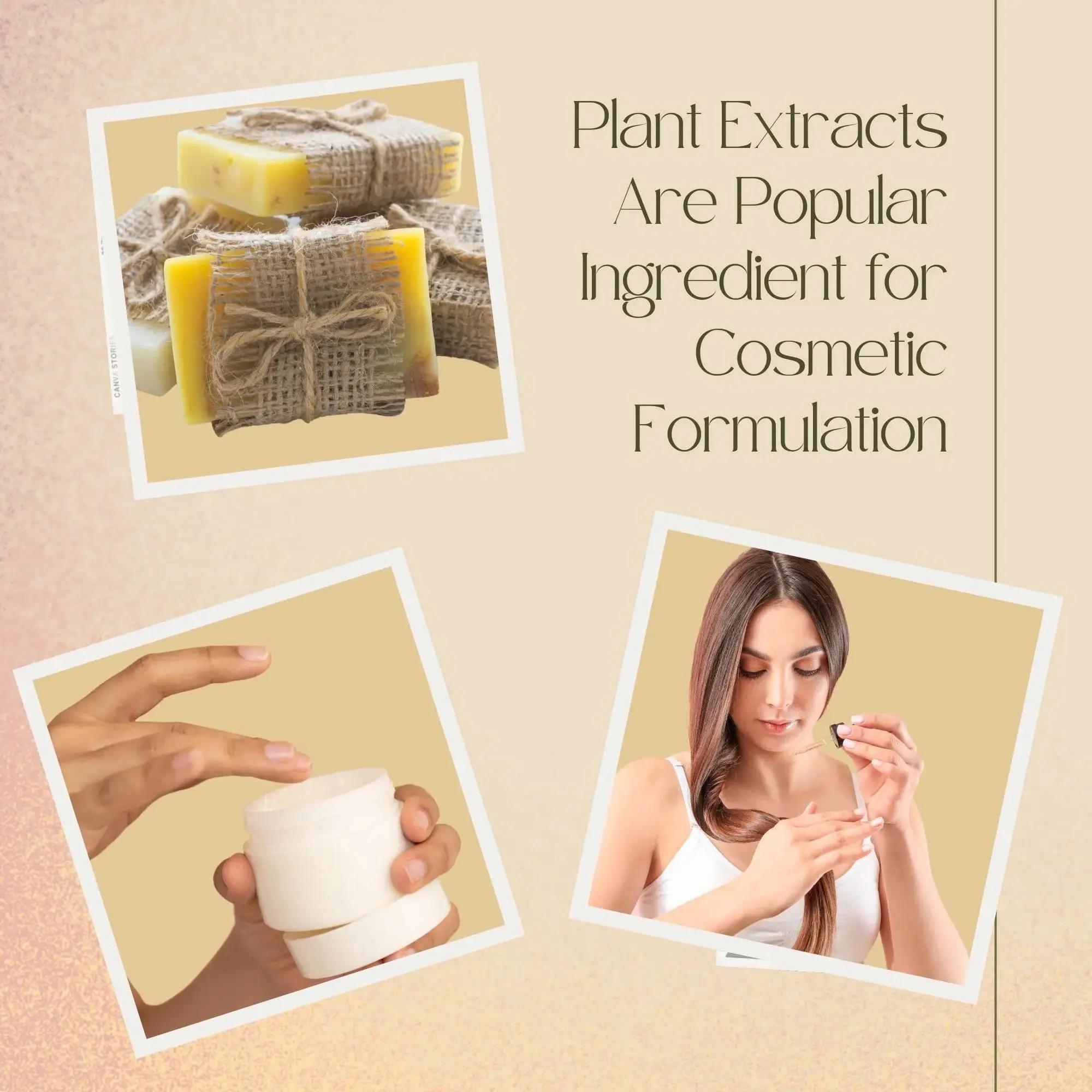 High Quality Soapberry Extract - Hair Care Essence reseña y precio