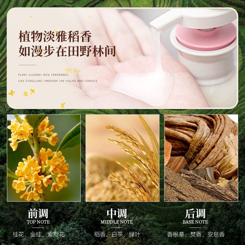 Changfa Xiaozhai Rice Water Sh - Hair Care With Rice Water reseña y precio