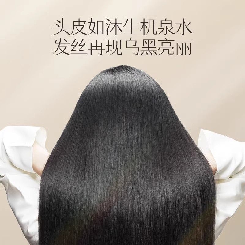 Changfa Xiaozhai Rice Water Sh - Hair Care With Rice Water reseña y precio